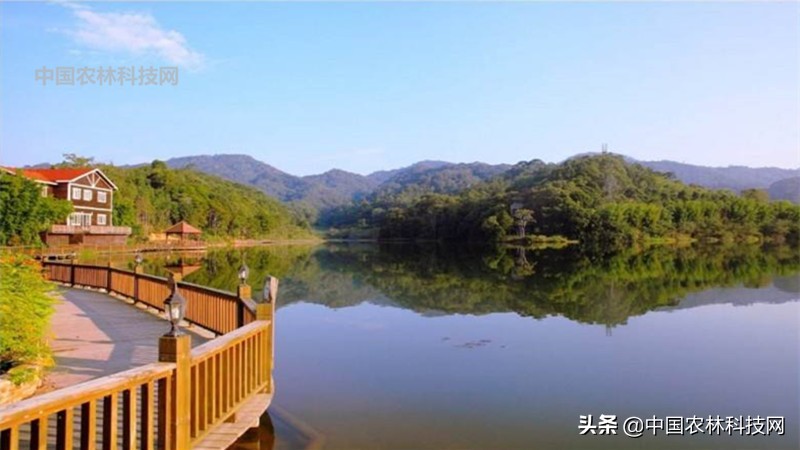 江上琼阁石宝寨!一县一品公益助农,重庆忠县农特产品柑橘