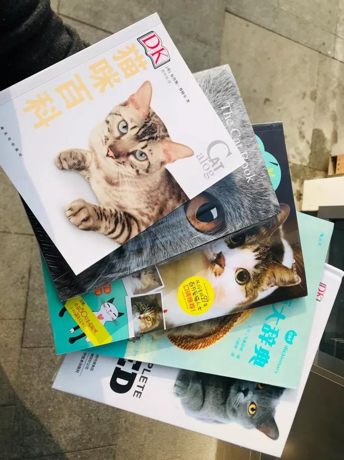 谋定而动原文,谋定而动是谁说的