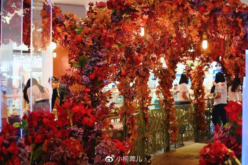 曼谷又好吃又好玩 (泰国美食曼谷旅游攻略)