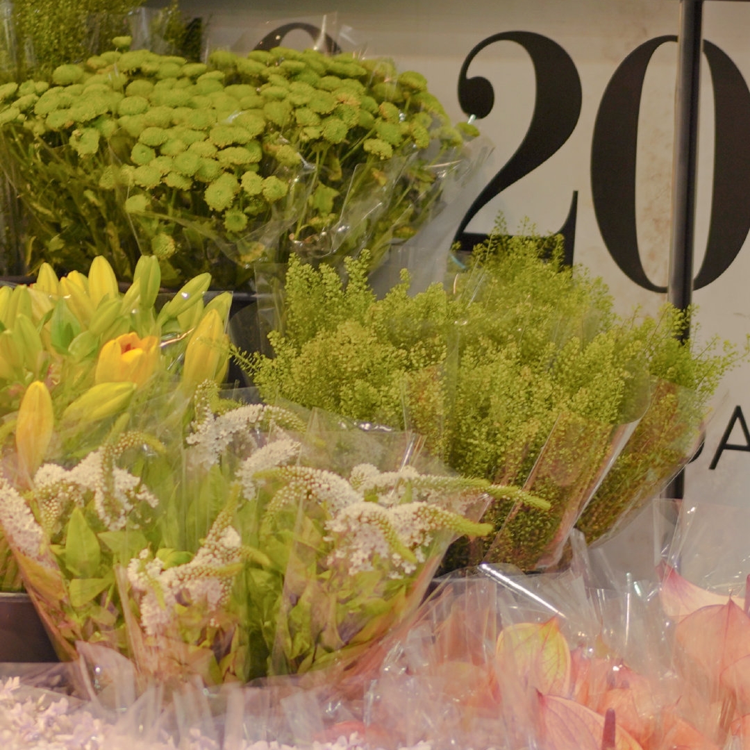 如何治愈原生家庭带来的伤害课程,该怎么治愈原生家庭带来的伤害