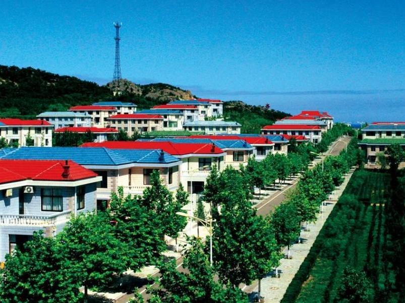 山东十大土豪村住房,山东最富村华西村