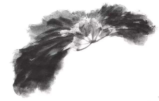 白描荷花100幅画法,荷花的画法白描图