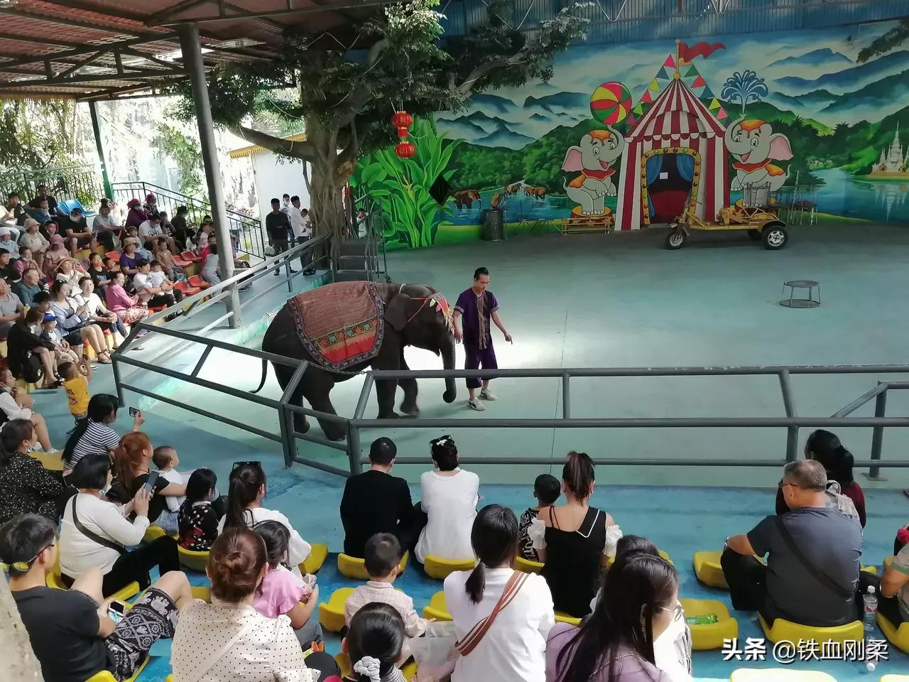 西双版纳景洪景区介绍,西双版纳景洪旅游胜地