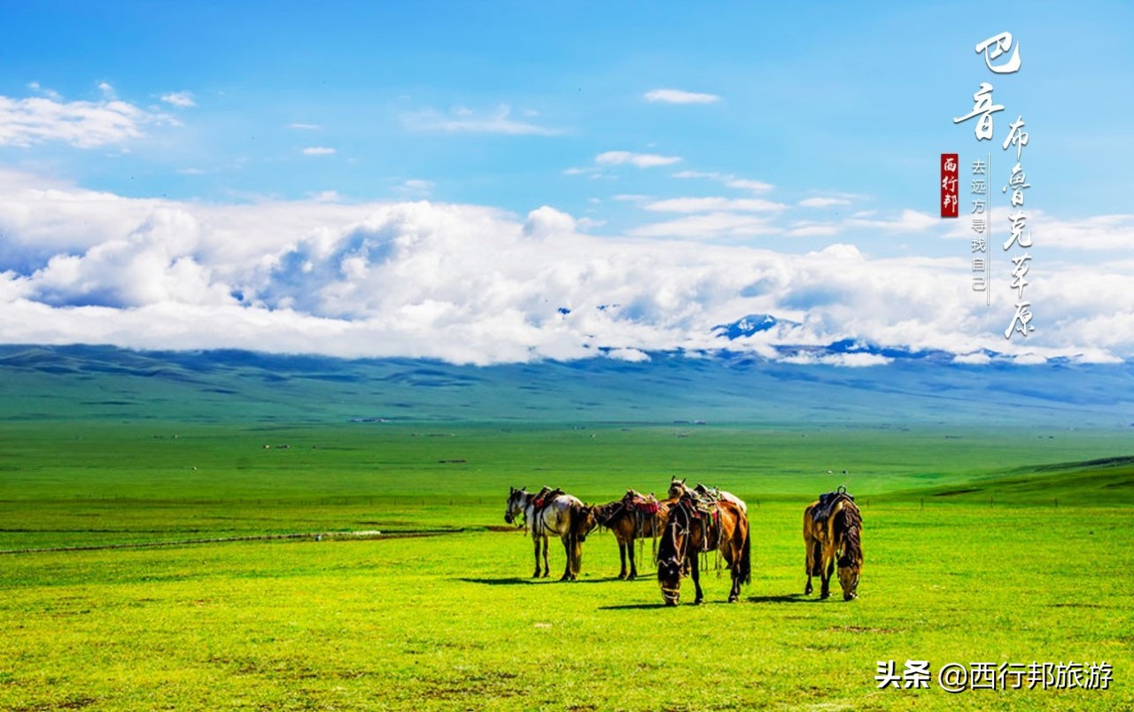 *疆新**,一定要不顾一切去一次的地方