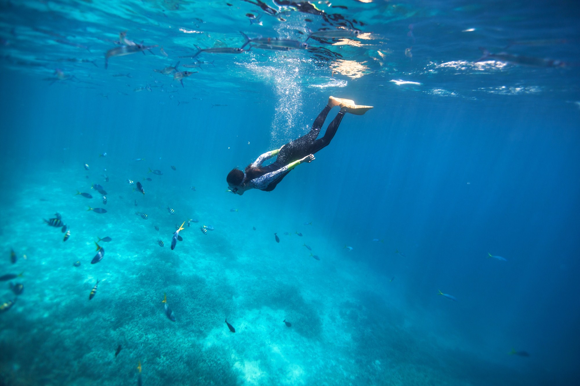 一定是特别的缘分——帕劳,再遇见「周若雪Patty」·上