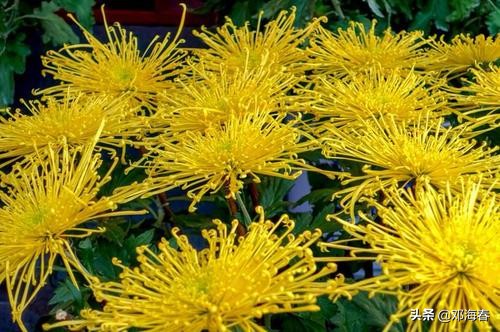 清明上河园旅游攻略开封,开封清明上河园旅游攻略最新