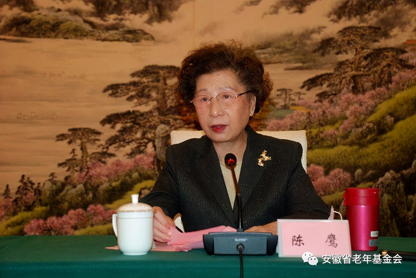 安徽抗击新冠疫情表彰会,安徽抗疫表彰大会宿州