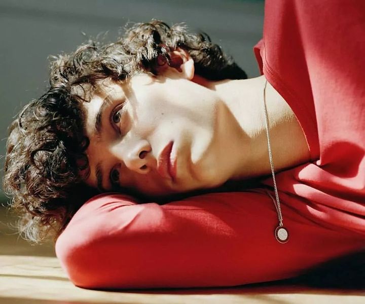 他是有中国血统的欧洲王子，父母离婚后，他只能在中国以走秀为生