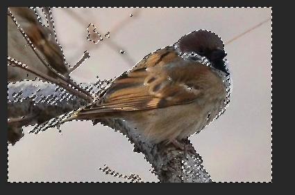 ps修图技巧学习交流,ps修图小技巧新手必看的实用技巧