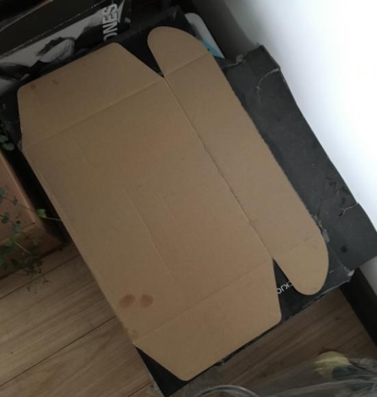 鱼池里的乌龟冬天怎么过冬,冬天乌龟如何过冬