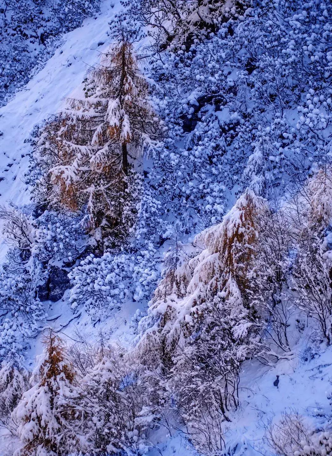 看阿坝县全景,阿坝环线海拔一览表