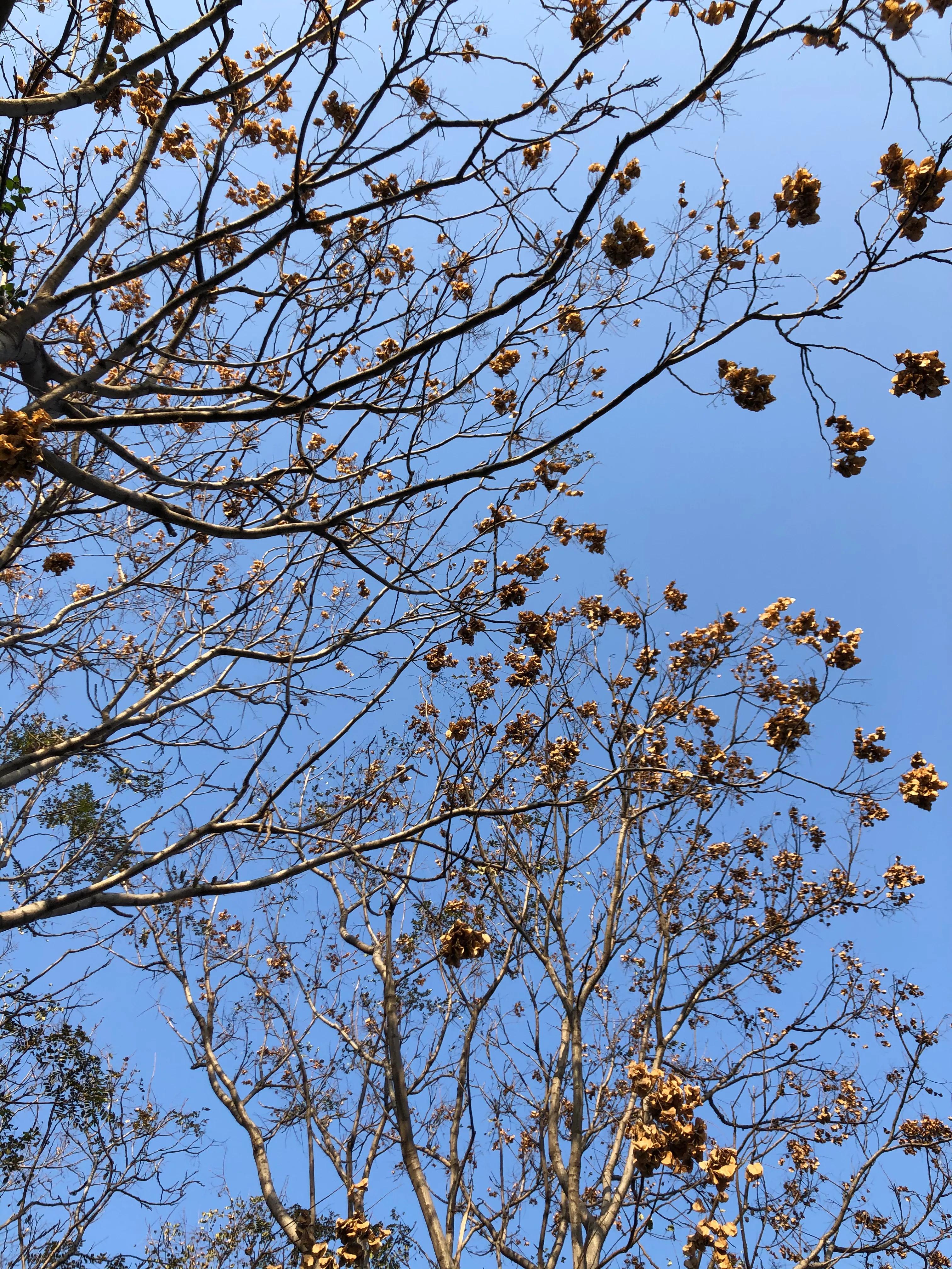 平顶山河滨公园旅游攻略,平顶山森林公园游记