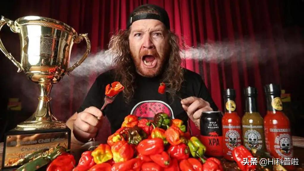 龙息辣椒的杀伤力,龙息辣椒为什么大家都能吃