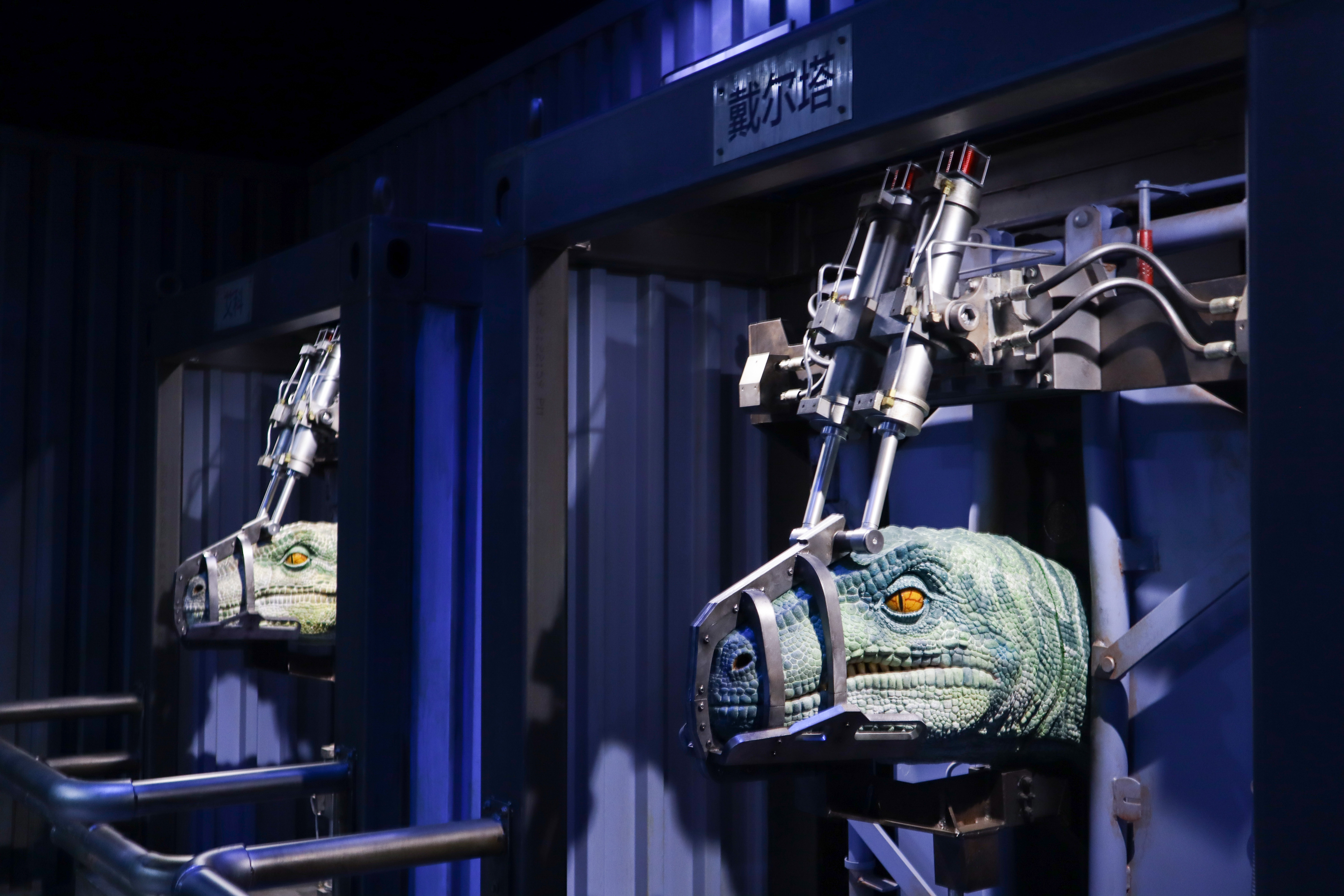 来到侏罗纪公园遇到超真实的恐龙,侏罗纪公园恐龙大探秘