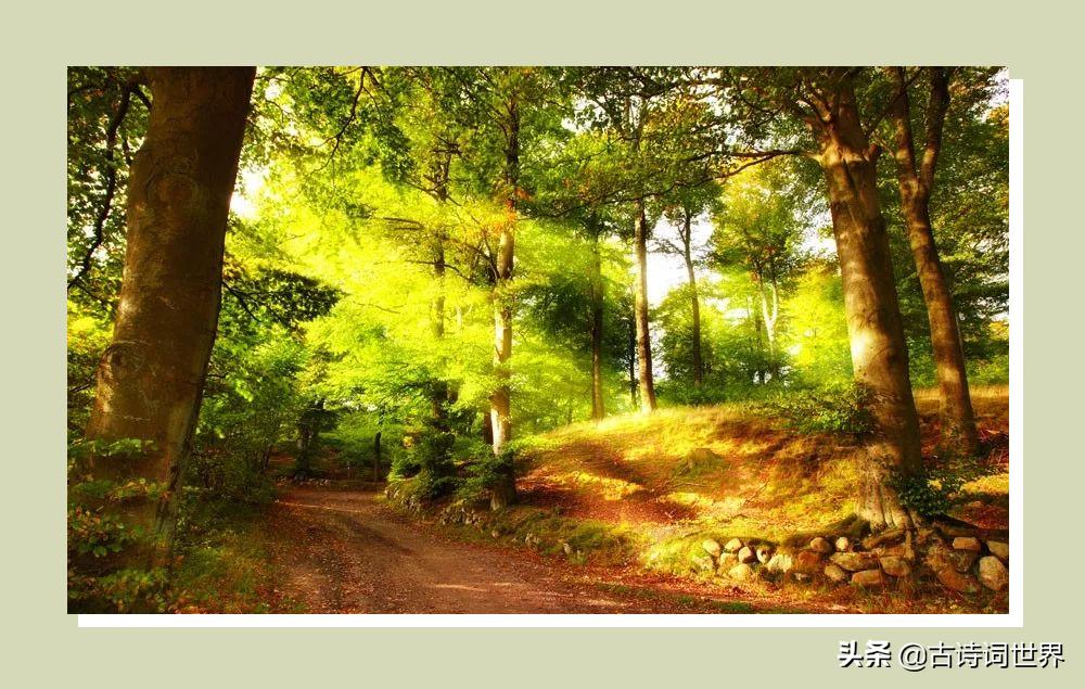 绝美的田园诗,最经典的田园诗短篇