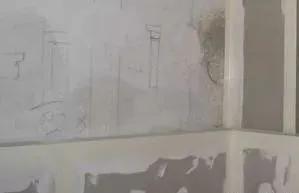 墙面大面积发霉渗水怎么办,墙面潮湿发霉是怎么回事