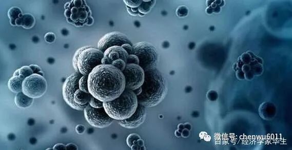 华生为什么总打夏洛克,华生被怼完整视频