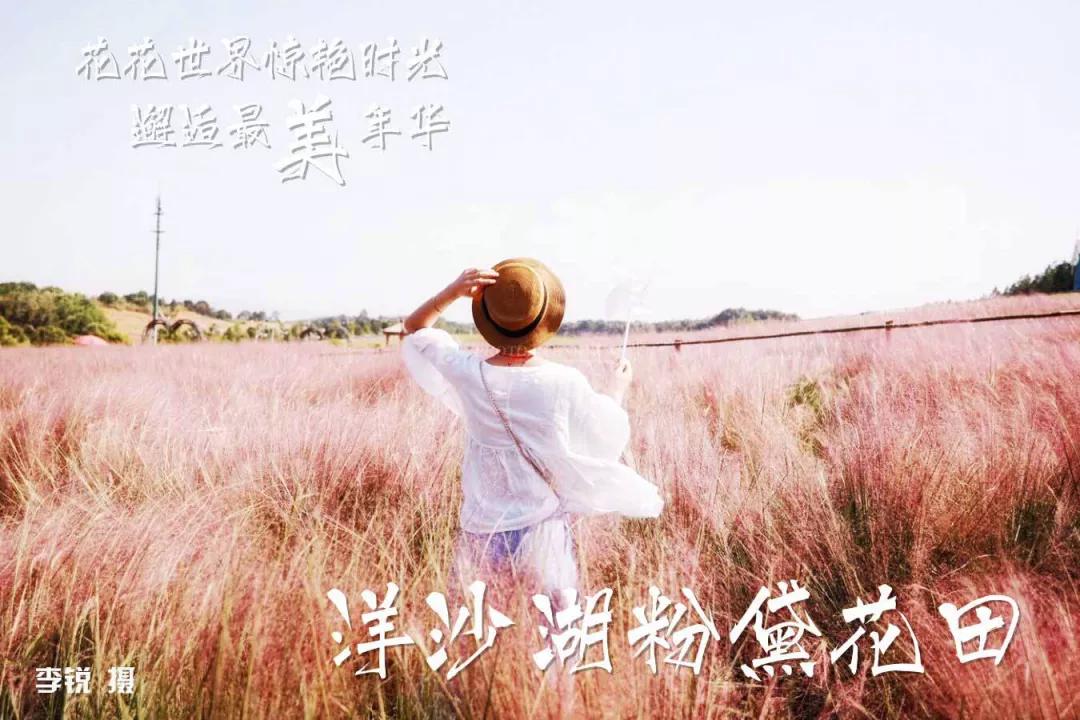 岳阳是湖南第二城市吗,岳阳第一大城市是哪里