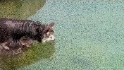 “你太低估了我的脚气，不知道还有没有救？”年轻总要付出代价