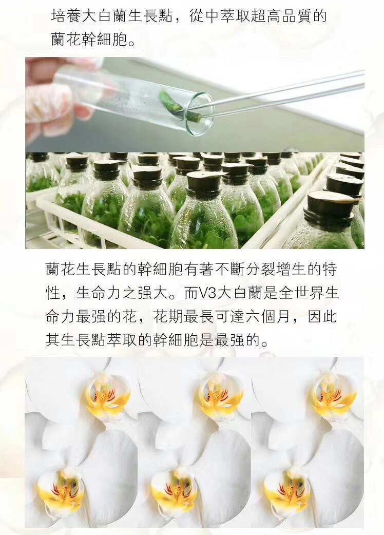 audace奥达士兰花精粹油,奥达士兰花油新款