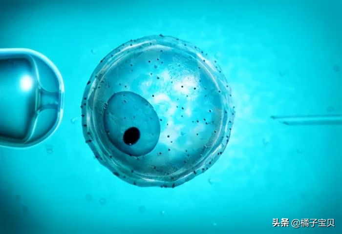 试管婴儿治疗流程图,试管婴儿治疗流程图doc