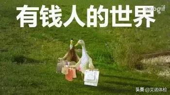 合肥哪个幼儿园最贵,合肥最贵私立幼儿园排名