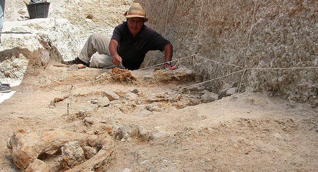 科学家发现人类发源地,人类发源地找到了吗