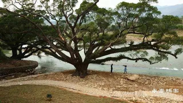 永泰繁华的地方,湖南永泰老城视频