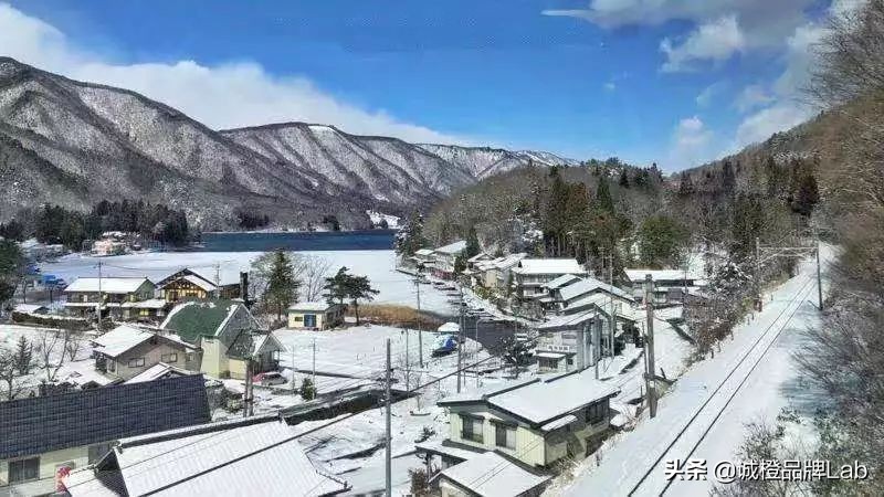 乡村内生活力,乡村发展的活力表现在诸多方面