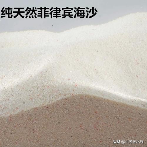 介绍水族箱中常用的化妆沙与使用场景，总有一种适合你！