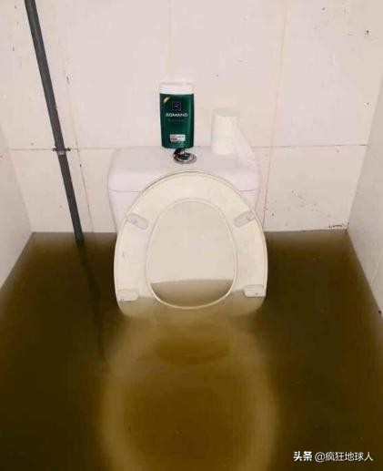 那些让你笑出眼泪的搞笑图片,50张搞笑图片总有一张能逗笑你