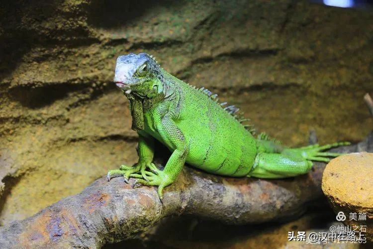 汉中户外遛娃好去处排行榜,汉中遛娃旅游景点有哪些