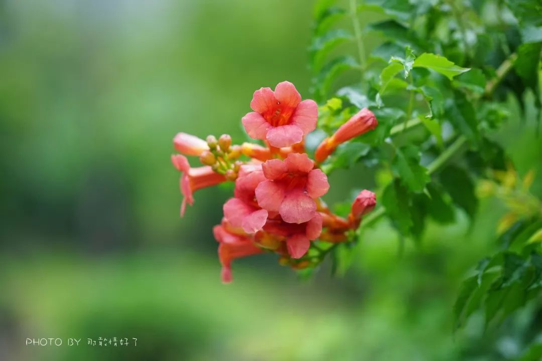 中国被遗忘的圣境，本应与蓝毗尼、耶路撒冷、雅典比肩齐声