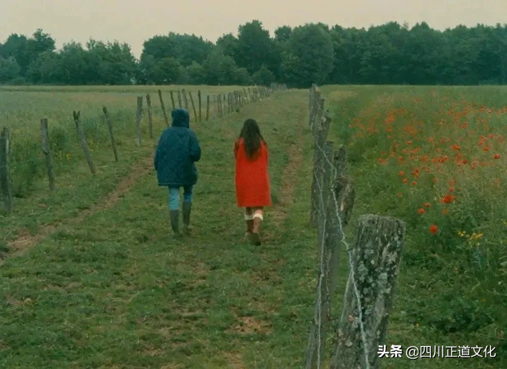 值得看的电影春天,春天的电影名字