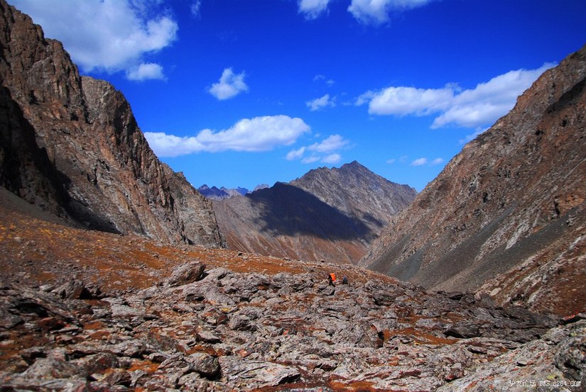 狼c调简谱教唱,狼c