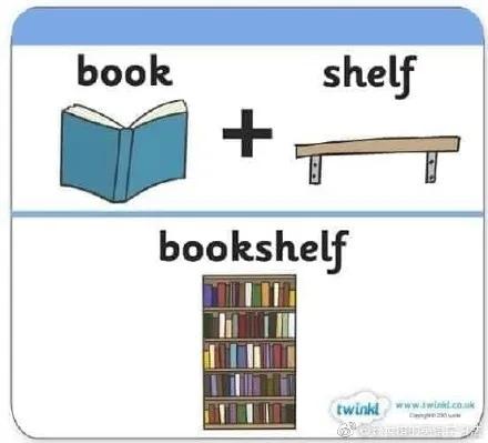 cat是什么词,cat是猫的意思吗