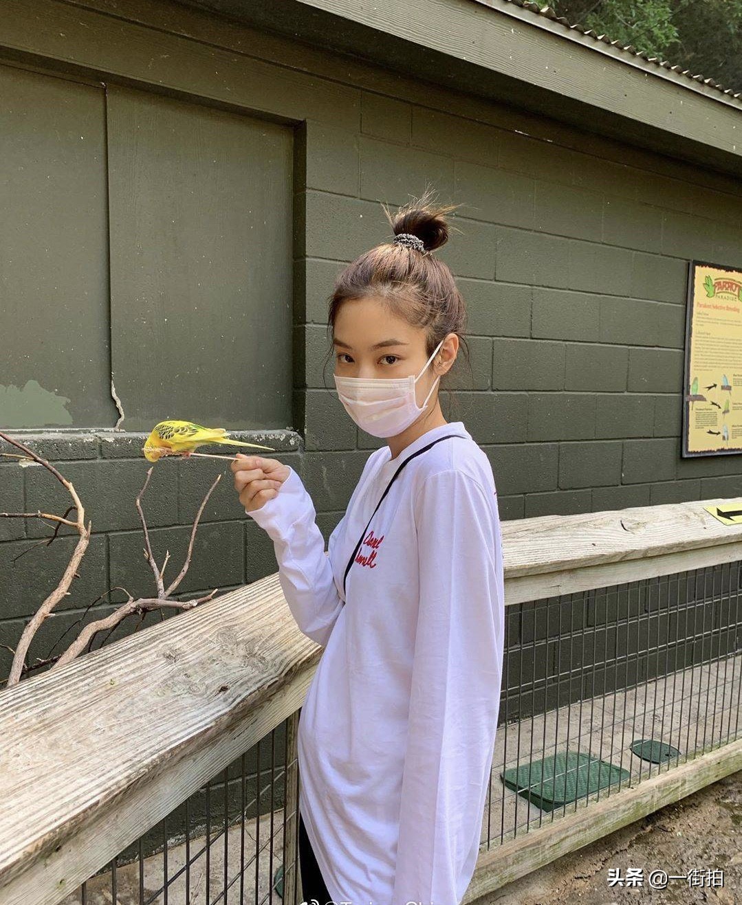 jennie白t黑长裤,jennie徒步穿搭