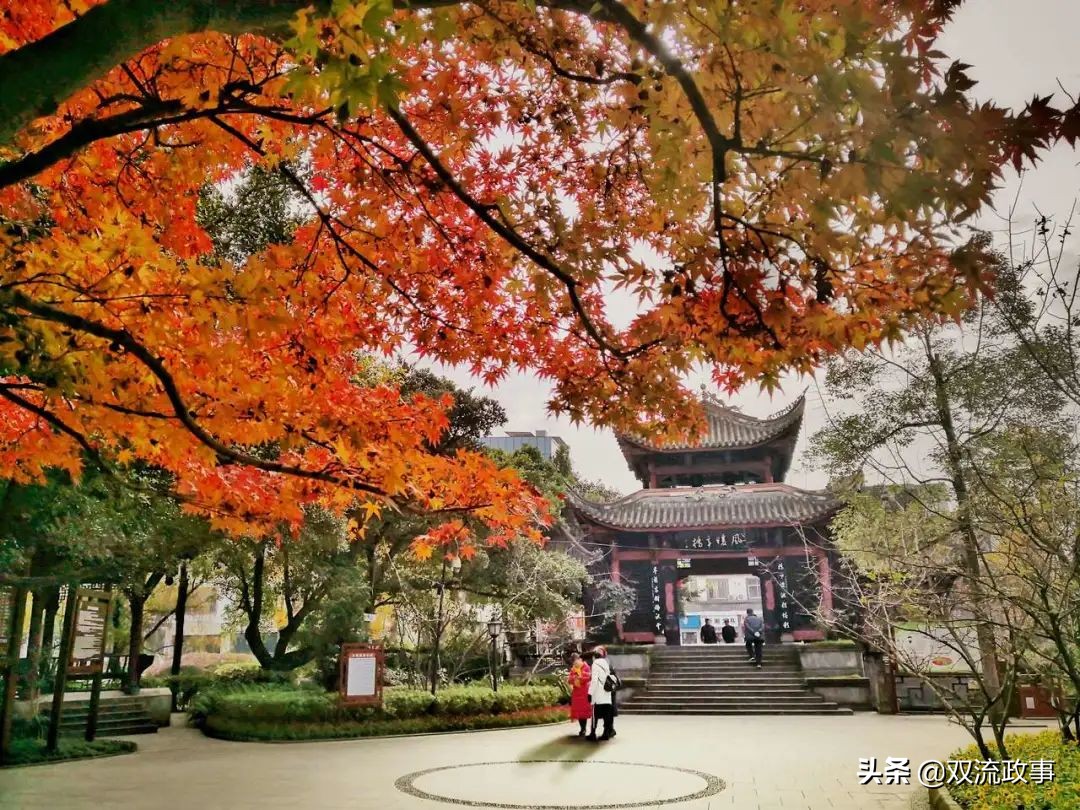 成都双流最美公园,公园城市的美