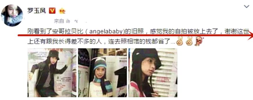 网红第一人罗玉凤,网红罗玉凤现象