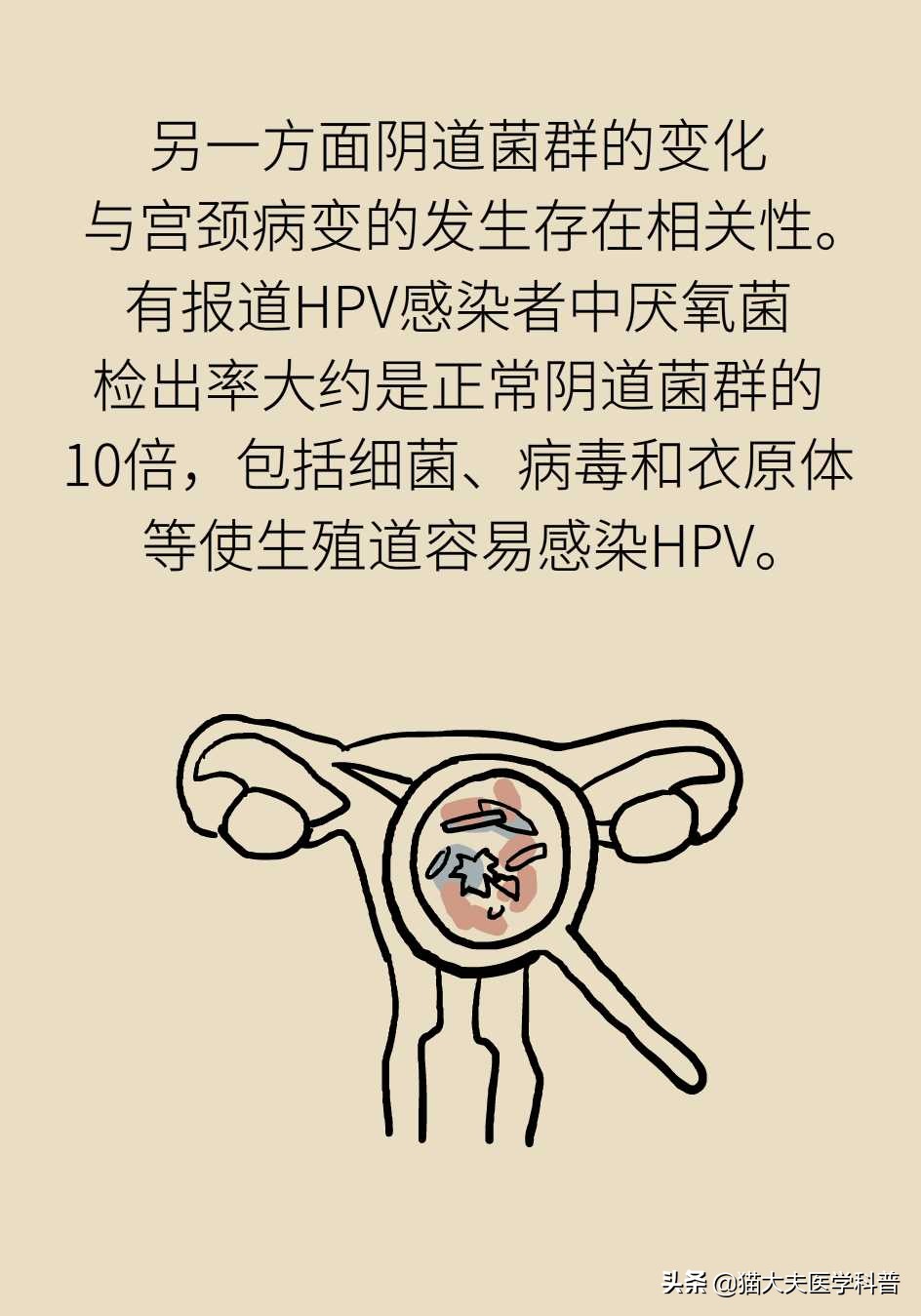 阴道炎会导致宫颈癌吗？