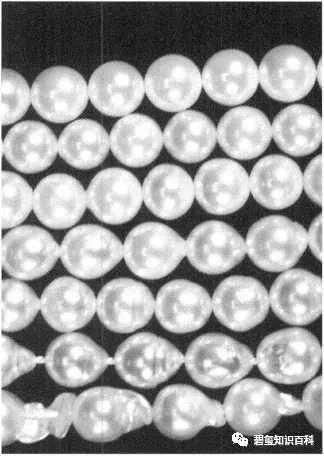 珍珠价格的影响因素,影响珍珠质量的因素