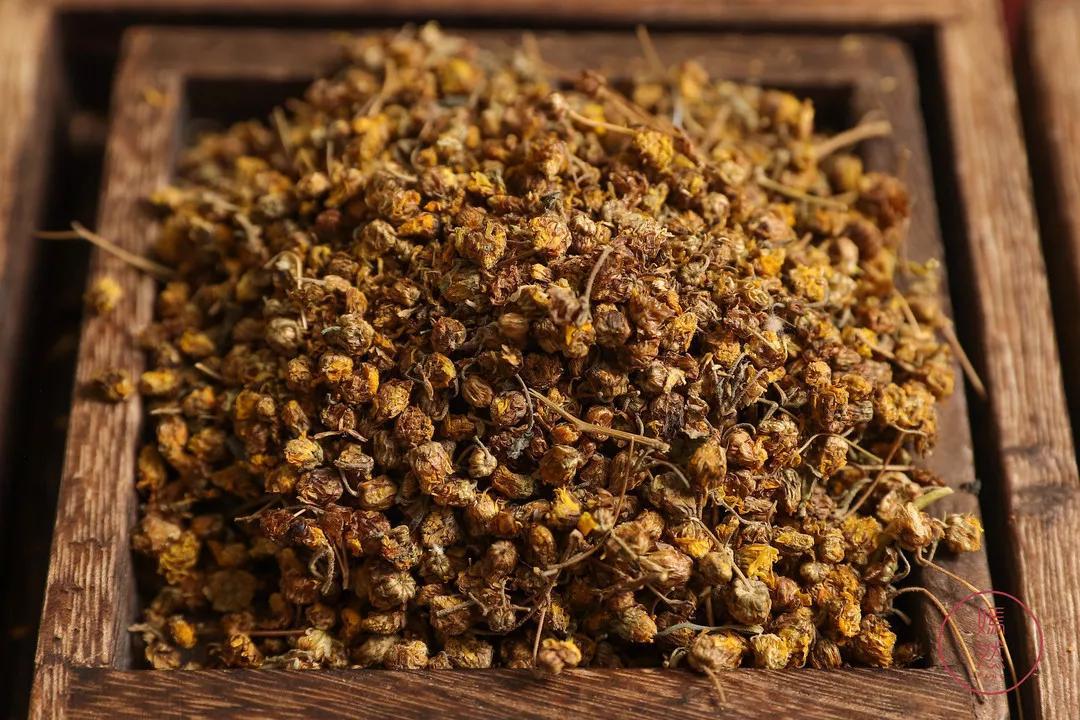 真正有龟的龟苓膏,龟苓膏新发现