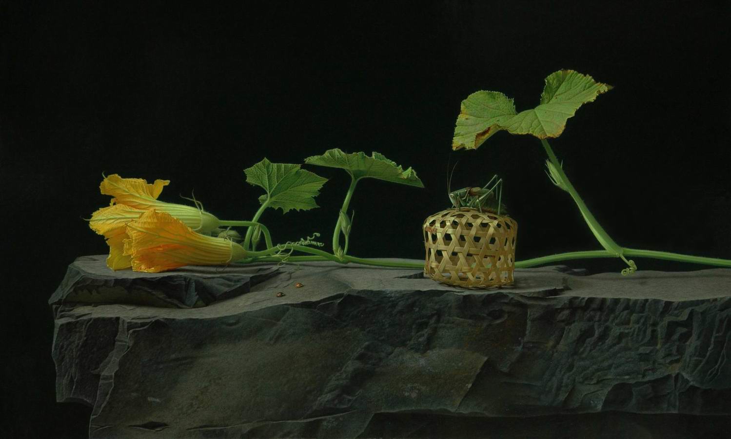 文学理论常识,文学理论吐血整理