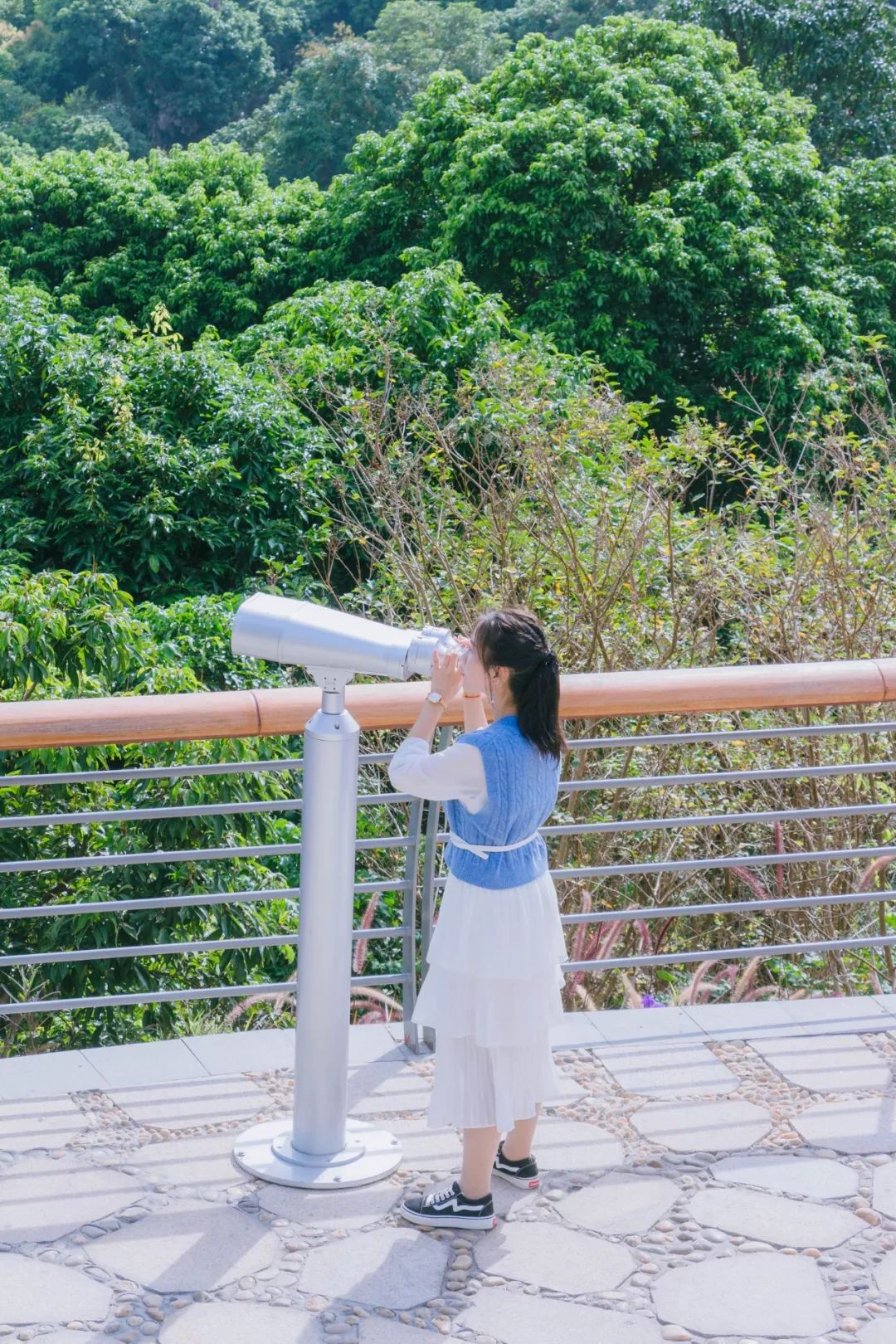 又发现深圳一个“绝美打卡地”!“淘金”绿道,人少免费