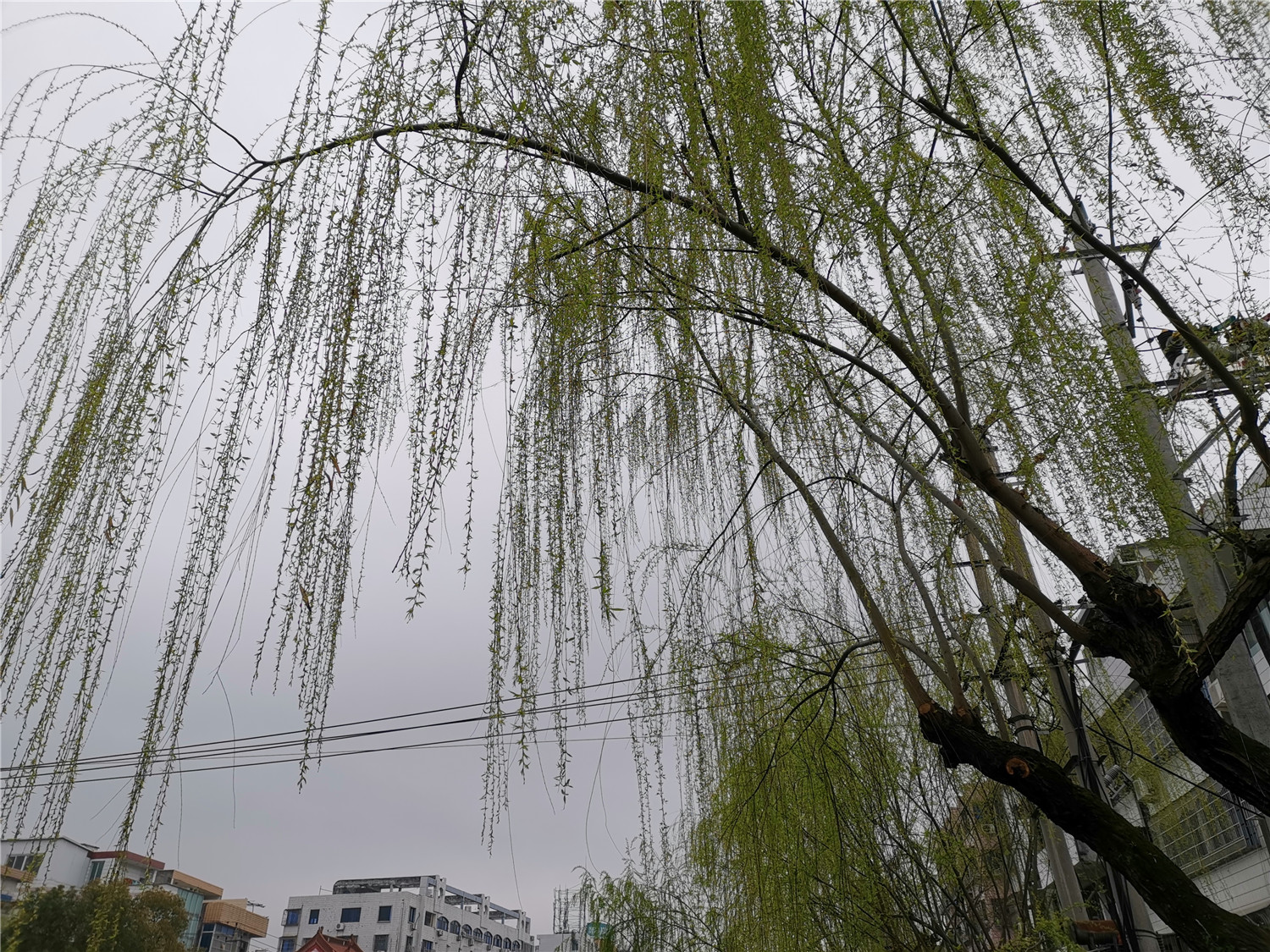 v20荣耀升级鸿蒙感受,荣耀v20升级鸿蒙2.0.0.165好不好