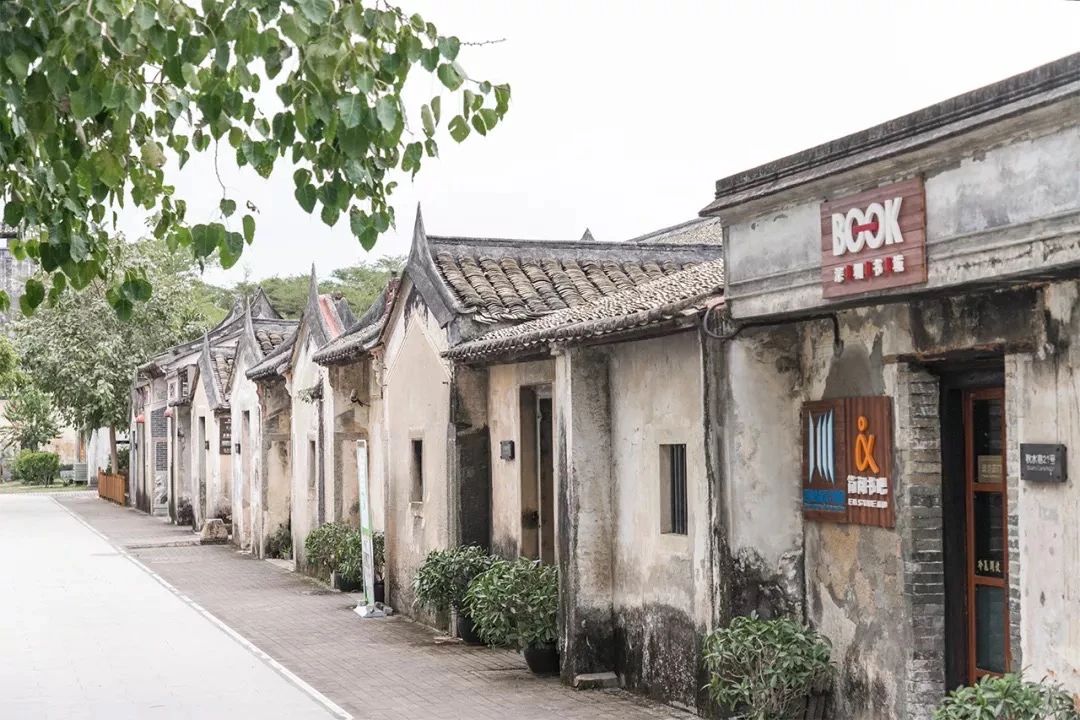 坐一趟4号线，打卡深圳19个热门游玩地！