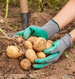 *疆新**到底为什么这么大大大大大？