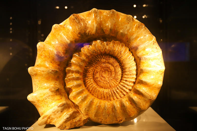 衢州常山春日旅游攻略,常山小众景点