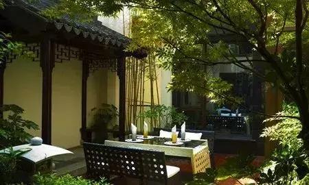 庭院藤蔓植物,庭院爬藤植物