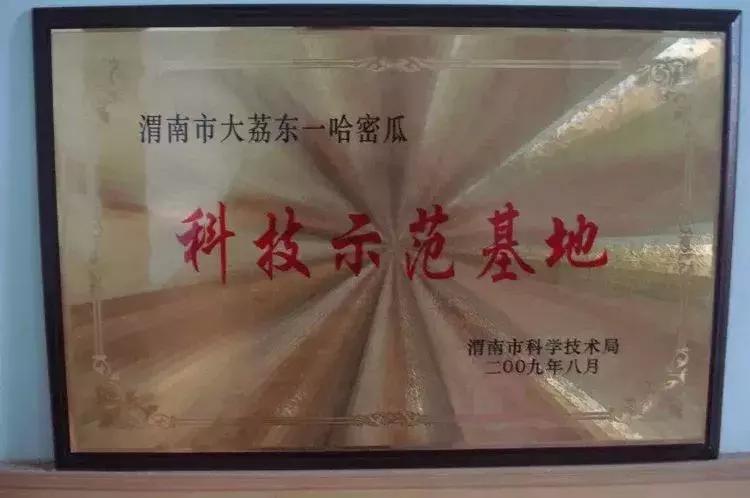 陕西大荔哈密瓜,大荔县东野雀